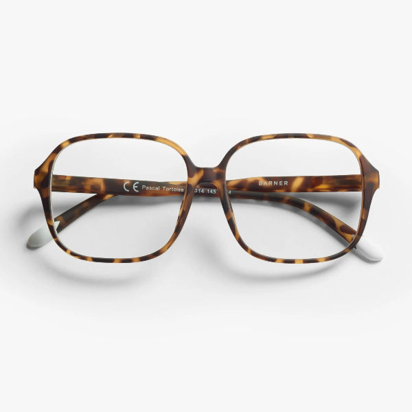 Barner Pascal - Tortoise