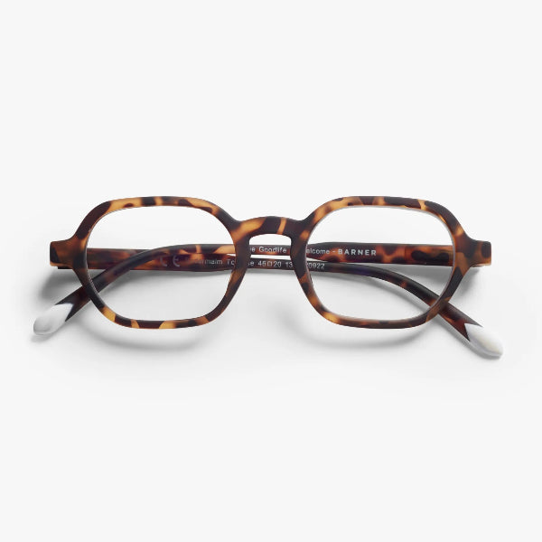 Barner Sodermalm - Tortoise