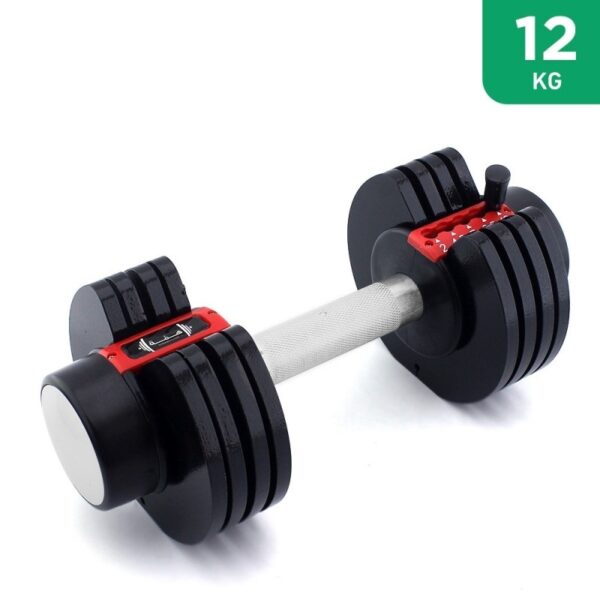 Single  Adjustable Dumbell - 12KG