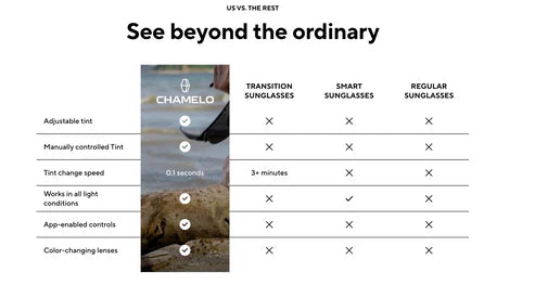 Chamelo Music Shield Slider HVL (Smoke Mirror - Matte Black Frame)