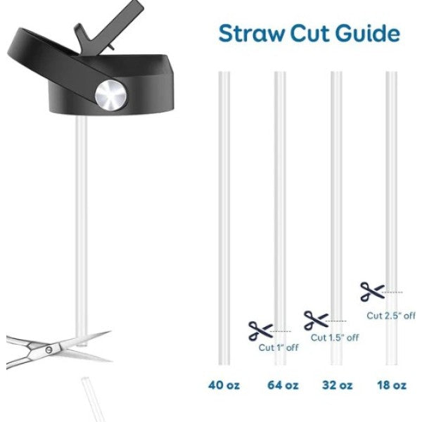 Buzio Replacement BPA Free Straws For All Buzio Bottle