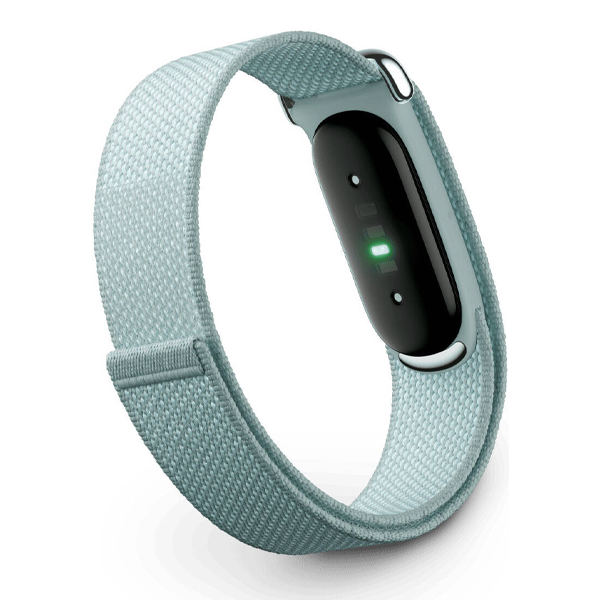 Google Fitbit Air Fitness Tracker - Fog