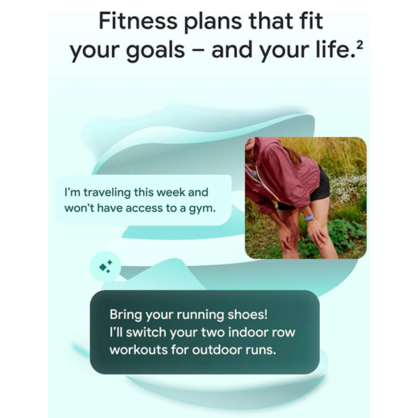 Google Fitbit Air Fitness Tracker - Fog