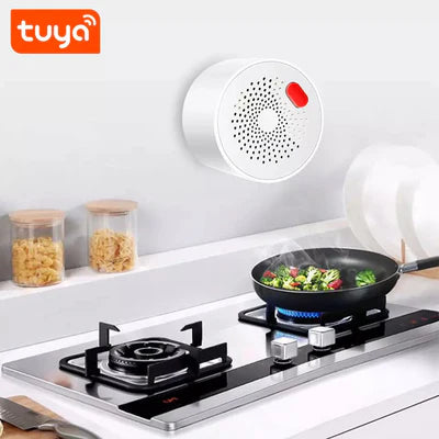 Smart Wifi Gas Leak Sensor – 220V Ac Plug-In