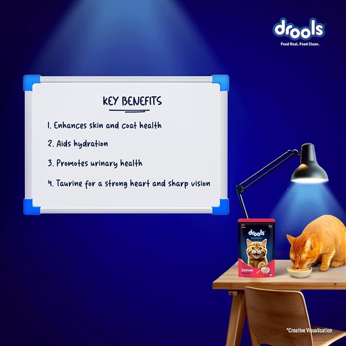 Drools  Salmon Mousse   Cat  80gm  (12pcs)