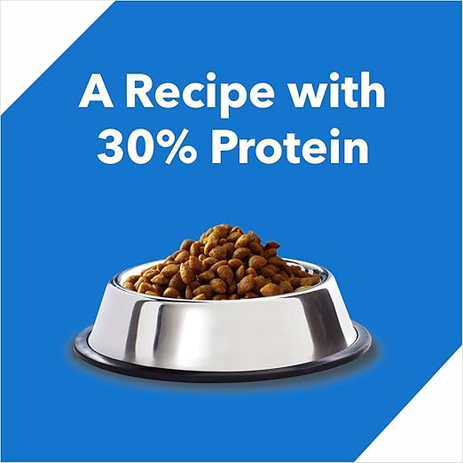 Drools Kitten Ocean Fish 3 kg