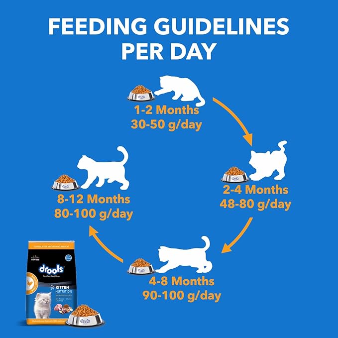 Drools  Kitten   Real   Chicken    1 .2 kg (3ps)