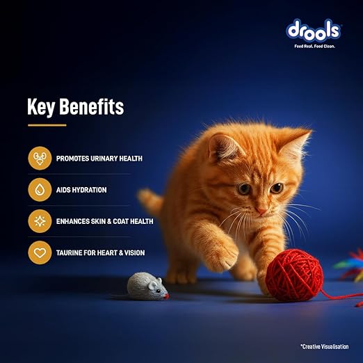 Drools  Chicken Mousse Kitten  80gm (12pcs)