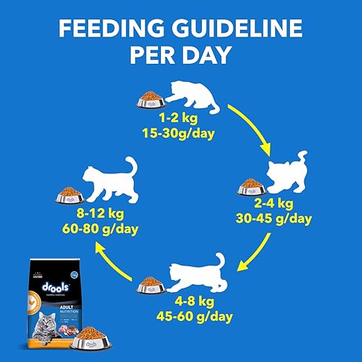 Drools  Cat   Real   Chicken    1 .2 kg (3ps)