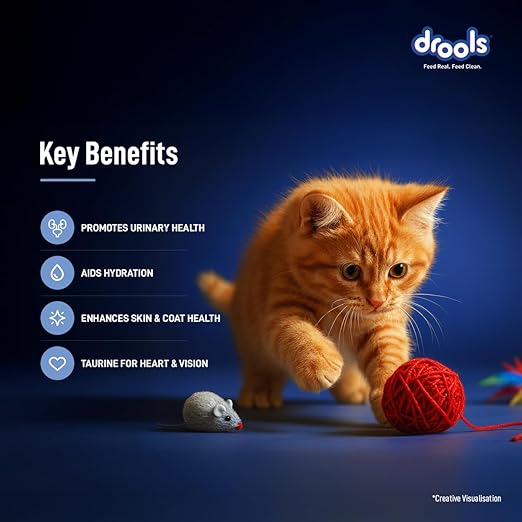 Drools Ocean Fish Mousse  Kitten  80gm (12pcs)