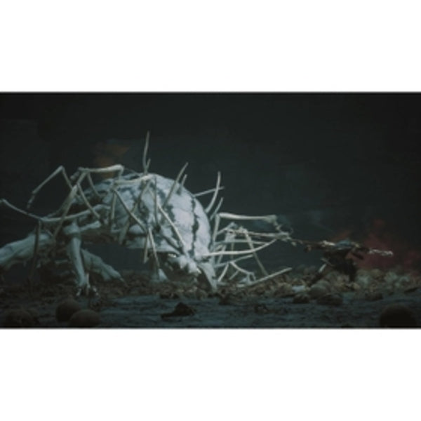 Sony PlayStation 5 Elden Ring Shadow of the Erdtree Edition Game