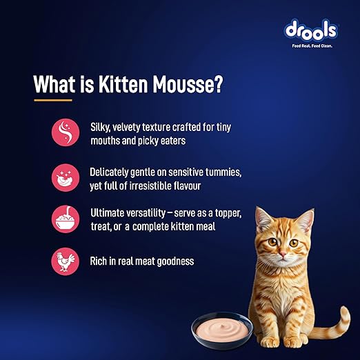 Drools Salmon Mousse Kitten  80gm (12pcs)