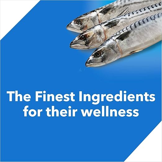 Drools  Cat   Ocean    Fish  1 .2 kg  (BUY 1 & GET 4OO GRAM FREE )