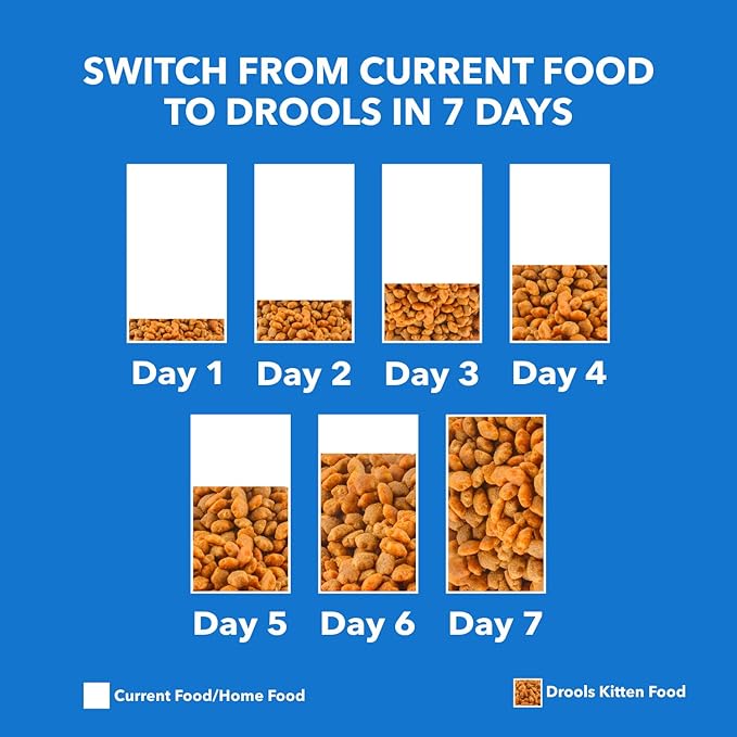 Drools  Kitten   Real   Chicken    3 kg