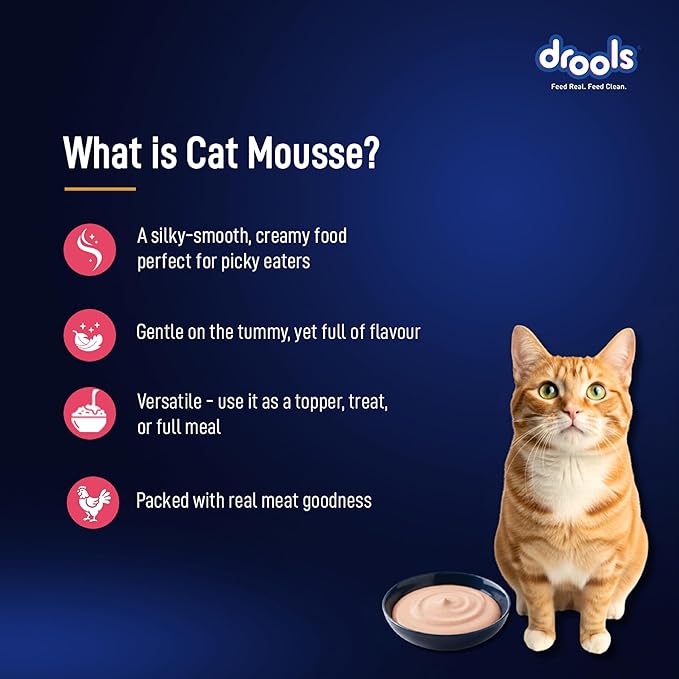 Drools  Salmon Mousse   Cat  80gm  (12pcs)