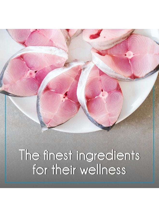 Purepet Cat Adult Ocean Fish 3kg