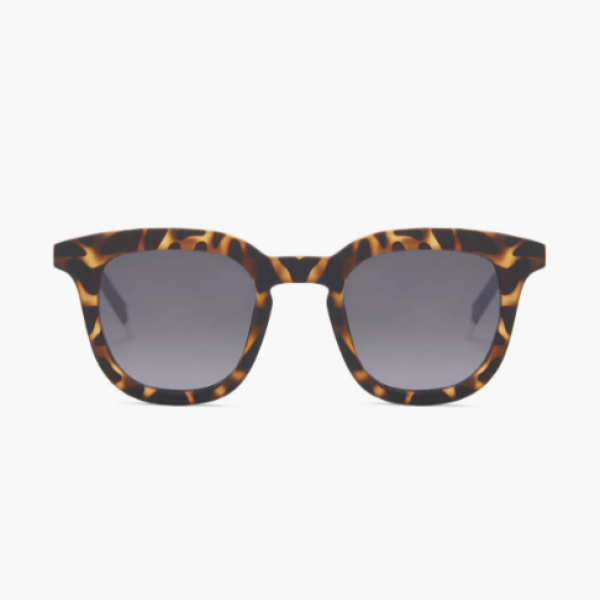 Barner Osterbro - Tortoise Sun