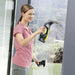 Karcher WV2 Window Handheld Vacuum Cleaner - Future Store