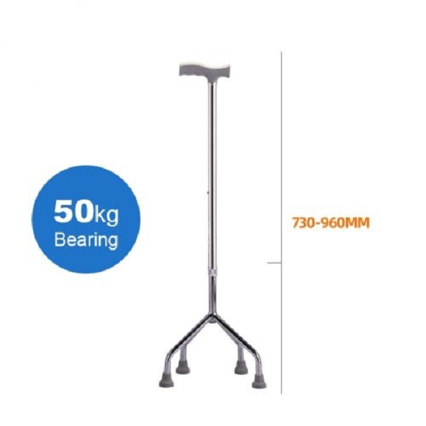 VANTEVIS QUAD CANE – 4 LEG