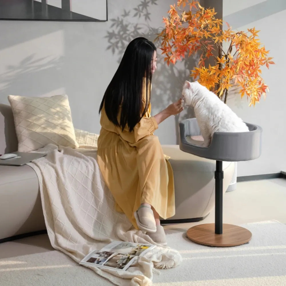 Gamvity Cat Bed Stand Mp-2 - Black