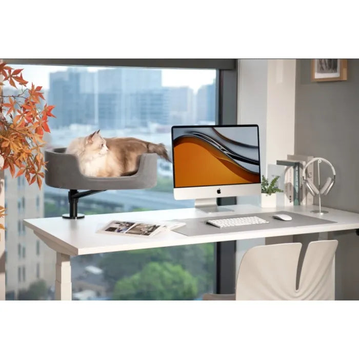 Gamvity Desk Cat Bed Stand - Black