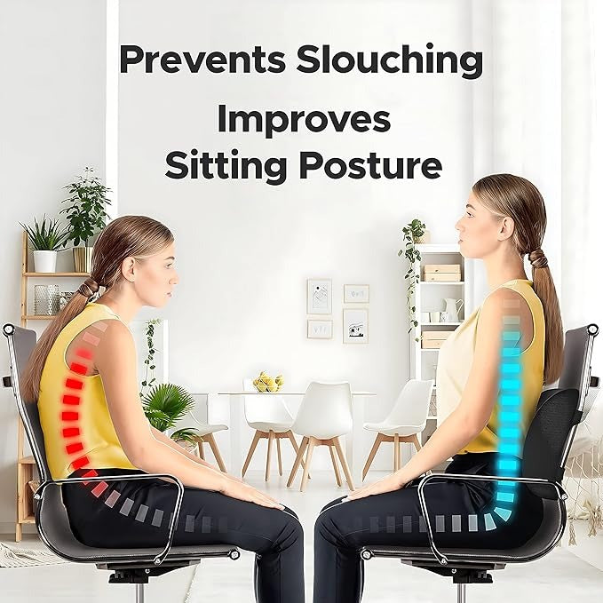 Frido Ultimate Lumbar Cushion (Black)