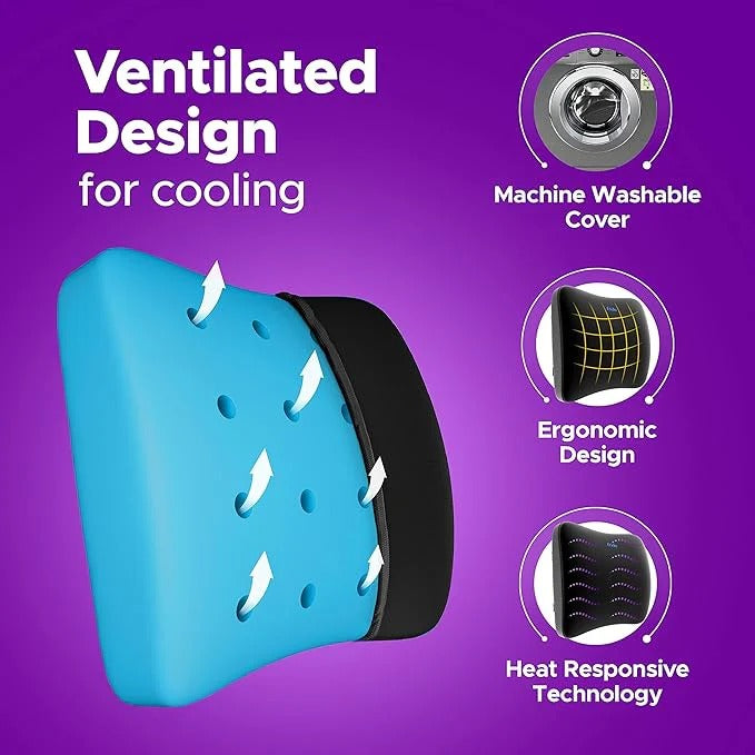 Frido Ultimate Lumbar Cushion (Black)