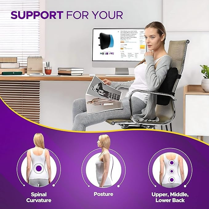 Frido Ultimate Lumbar Cushion (Grey)