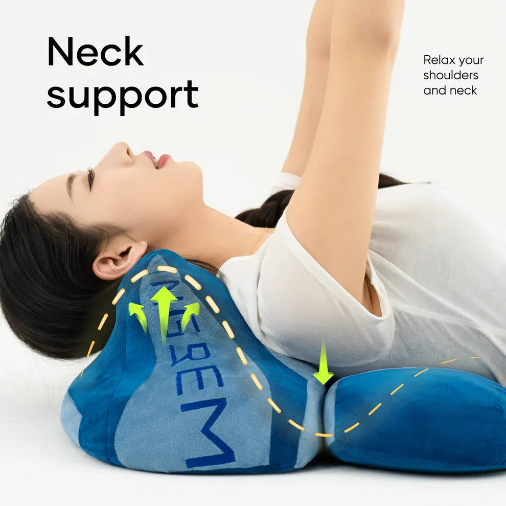 Ingrem Fat Cat Pillow - Blue