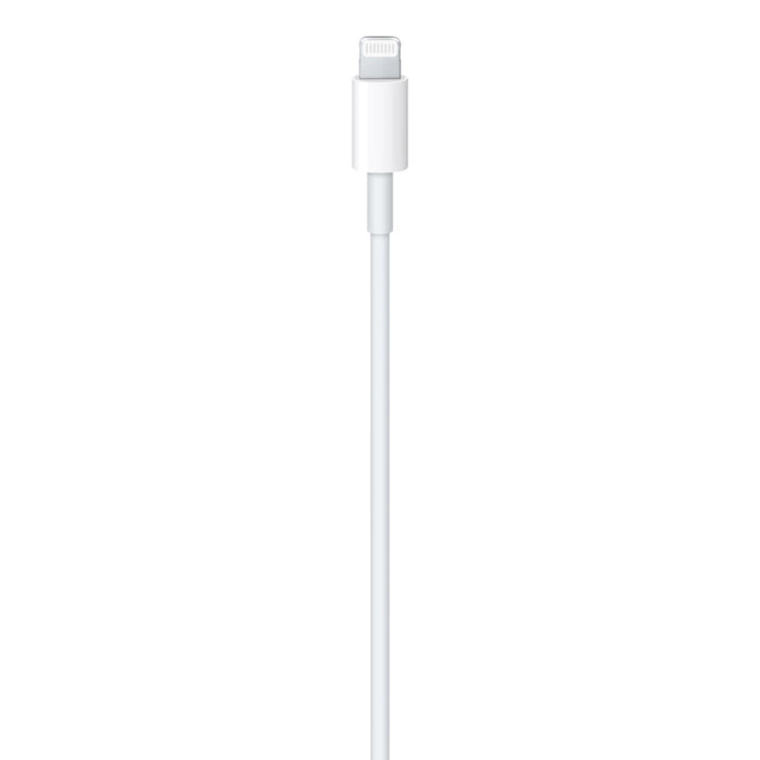 Apple USB C To Lightning Cable 1M - White