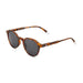Barner Chamberi Sunglasses - Tortoise - Future Store