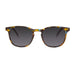 Barner Dalston Sunglasses - Blue Tortoise - Future Store