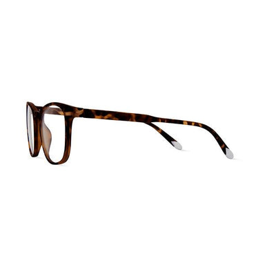 Barner Dalston Glasses - Tortoise - Future Store