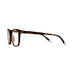 Barner Dalston Glasses - Tortoise - Future Store