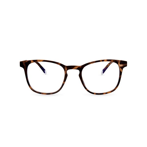 Barner Dalston Glasses - Tortoise - Future Store