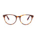 Barner Gracia Glasses - Havana - Future Store