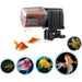Automatic Aquarium Fish Feeder with Adjustable Feed Timer App - Future Store