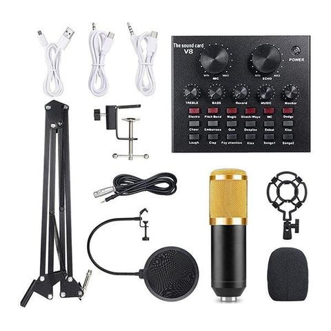 Professional Upgraded Legendary Vocal Condenser Microphone