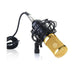 Professional Upgraded Legendary Vocal Condenser Microphone - Future Store