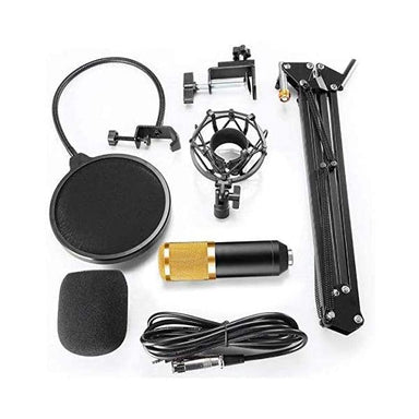 Professional Upgraded Legendary Vocal Condenser Microphone - Future Store
