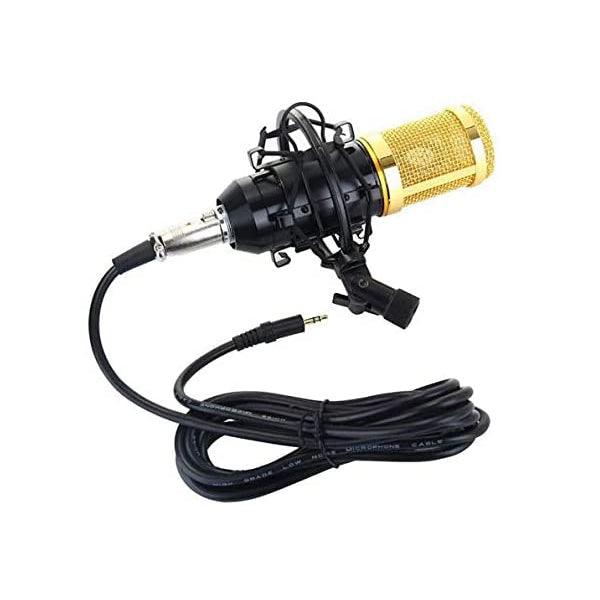 Condenser Microphone With Live Sound Card - Future Store