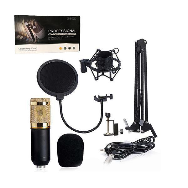 Condenser Microphone With Live Sound Card - Future Store