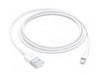Apple Lightning To Usb Charging Cable With Ic 1M - Future Store