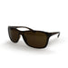 Rayban Shiny Brown / Brown Lenses - Size 61 - Future Store